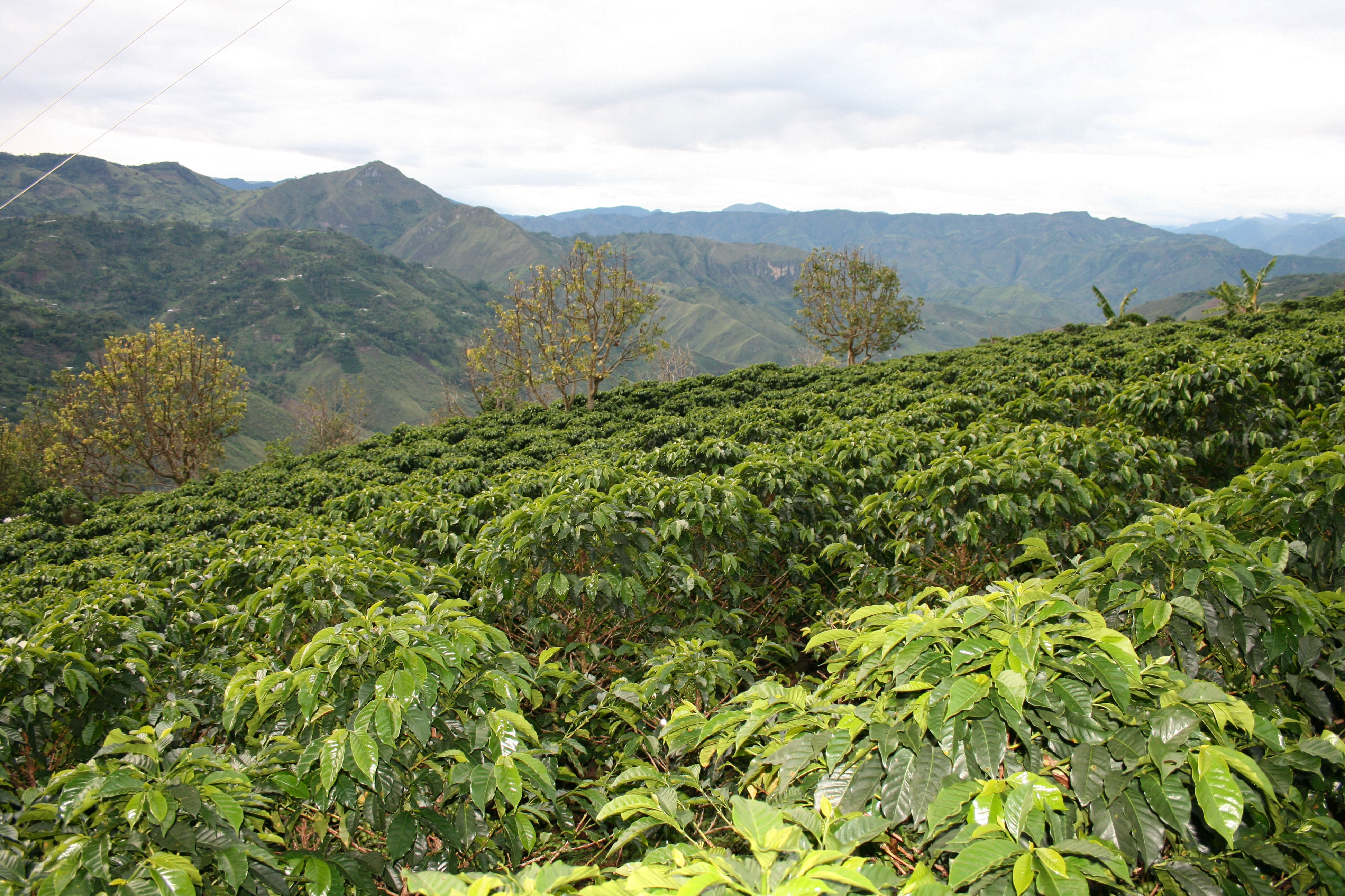 インサ ティエラデントロ_IT_087.jpeg